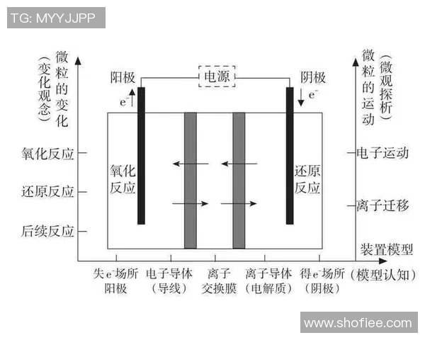 杭州排球队在挑战赛中的速度表现分析与点评